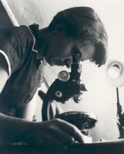History and major facts about the discovery of the DNA structure ...