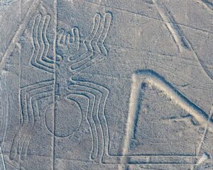 Nazca Insectoids Nazca Lines - World History Edu